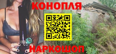 крисы Анапа