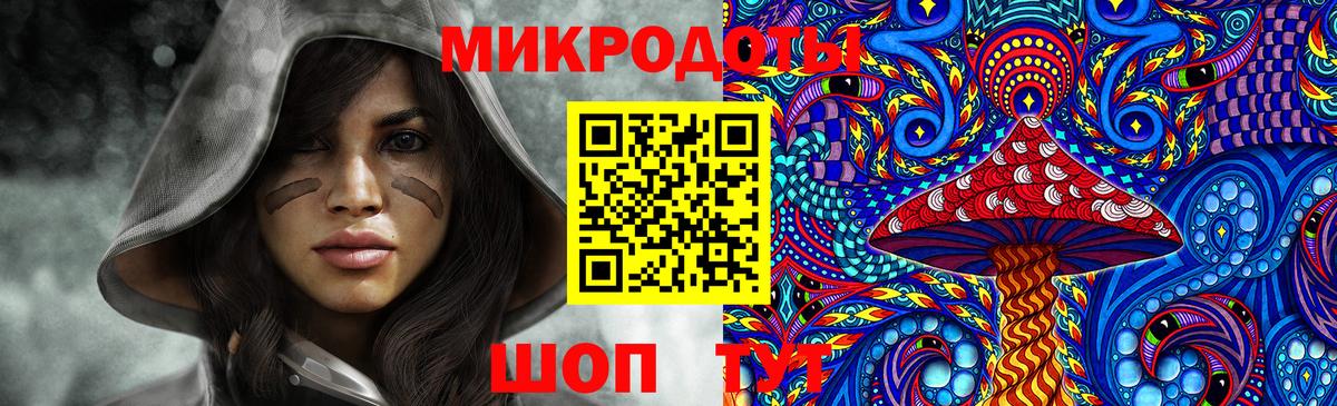 Псилоцибиновые грибы Psilocybine cubensis Бузулук