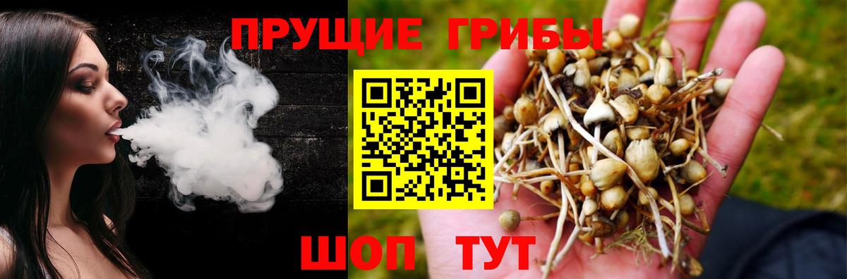 Бузулук  Галлюциногенные грибы MAGIC MUSHROOMS  где купить   Вход с VPN  Галлюциногенные грибы ЛСД 